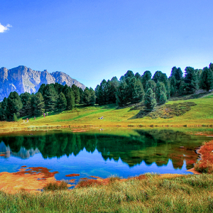 女人与公豬交酡过程
